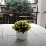 Kihim beach villa outdoors